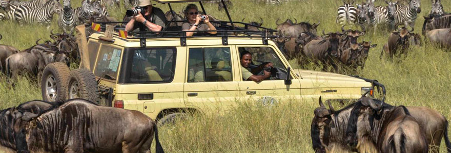 Safari en Tanzanie